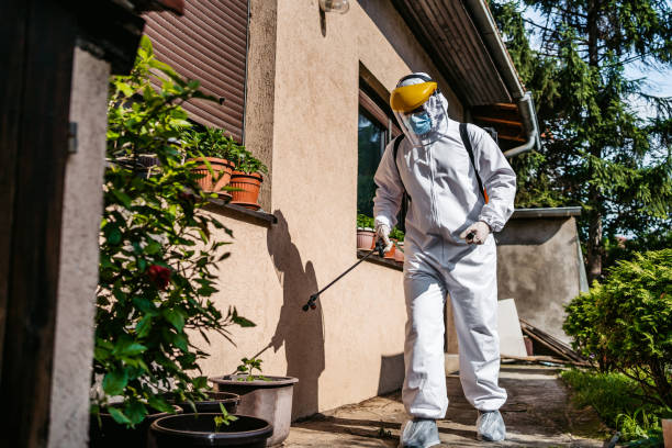 Best Local Pest Control Services  in Charter Oak, CA
