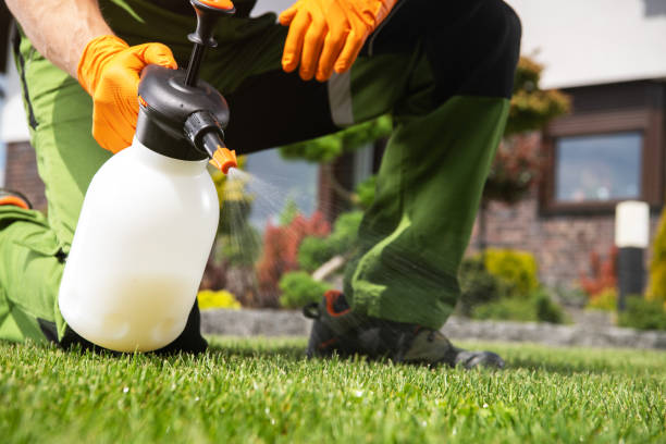 Best Rodent Control Near Me  in Charter Oak, CA