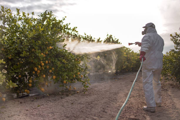 Best Pest Control Near Me  in Charter Oak, CA