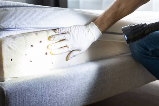 Best Wildlife Control Services  in Charter Oak, CA